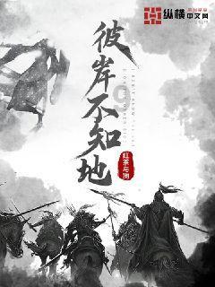 寂静森林找星星