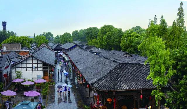 机智问答网页——森林消防怎么报名,智能回答你的问题